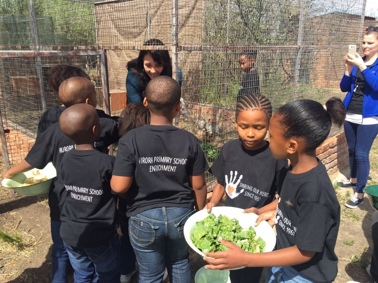 Part of the Expereince